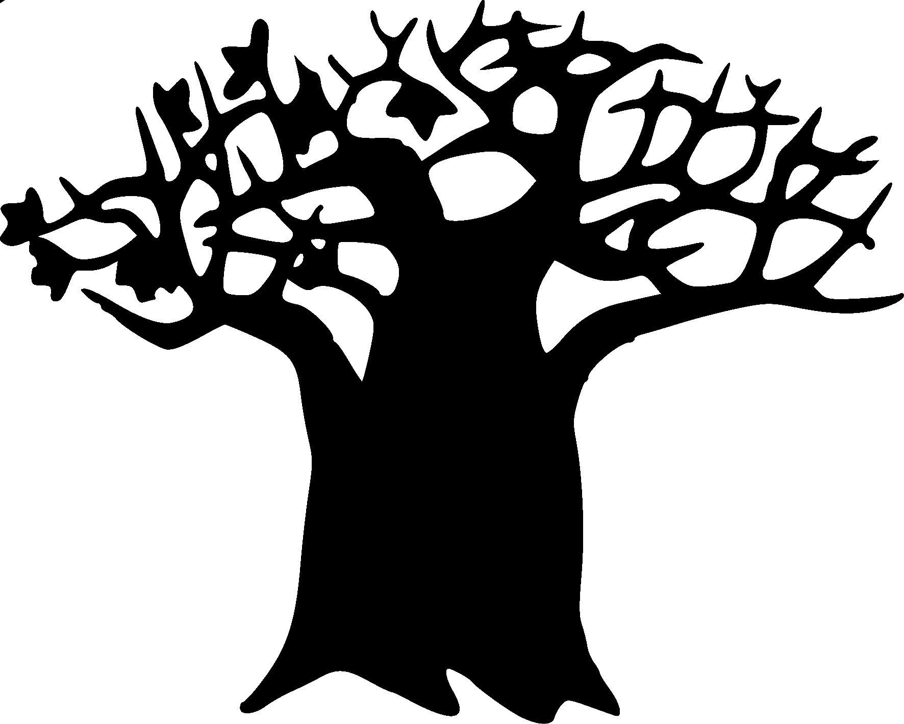 Baobab SRL